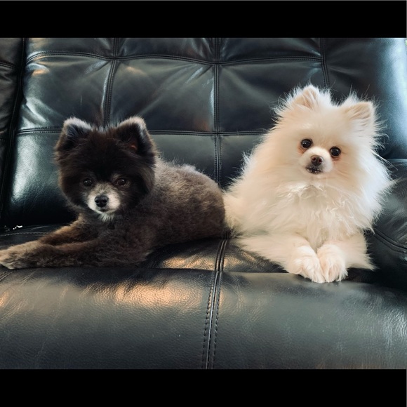 Welcome To My Closet - Picture 12 of 16